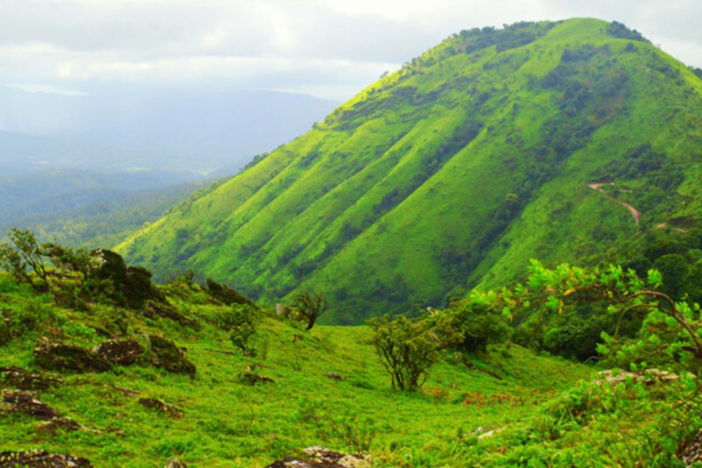 kudremukh trek homestay