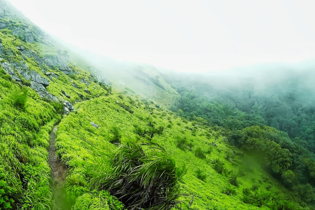 kudremukh trek homestay