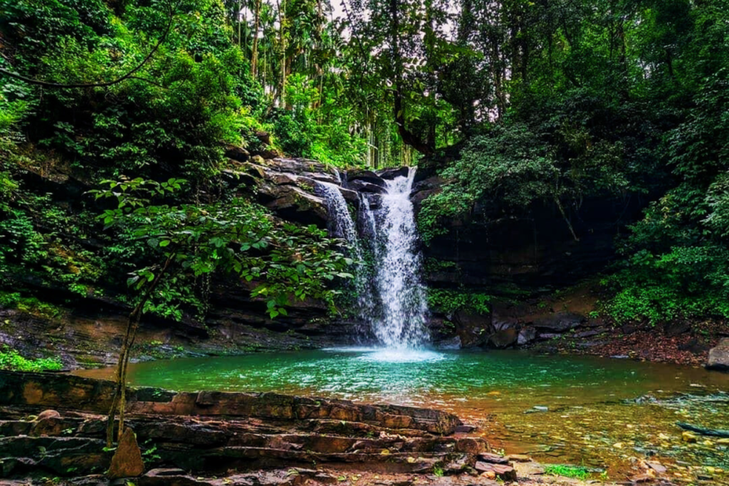 kudremukh trek homestay